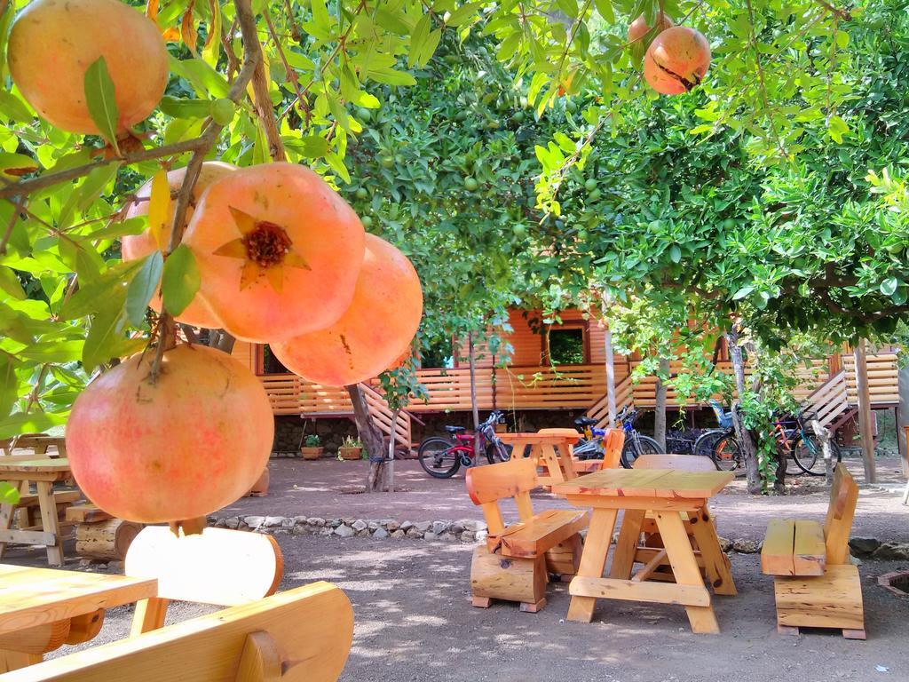 Chimera Pia Aparts Hotel Çıralı